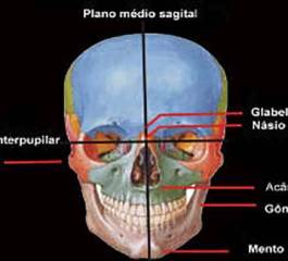 Posicionamento Radiológico do Crânio, Planos e Linhas