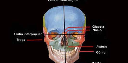 Posicionamento Radiológico do Crânio, Planos e Linhas