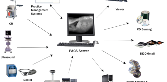 Radiologia Digital, Entenda o Sistema PACS